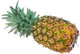 Ananas cel�