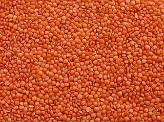 �erven� �o�ka