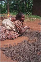 Fair trade - pro� ne?